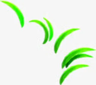 绿草绿叶春天装饰图片免抠节日六一儿童节元素