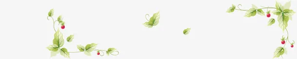 网站藤蔓背景banner