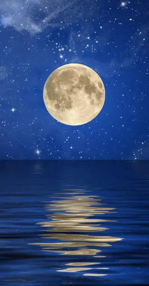 为何不能没有月亮高清