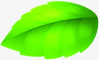 绿色卡通艺术树叶设计春天免抠