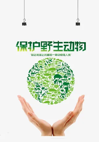 保护野生动物免抠