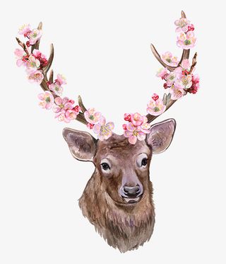 犄角插满桃花的麋鹿免抠