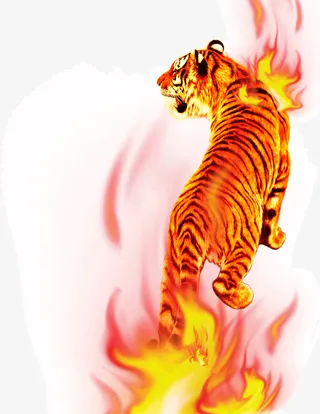 燃烧大老虎免抠