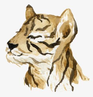 手绘老虎头像装饰免抠