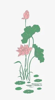 中国风荷花免抠