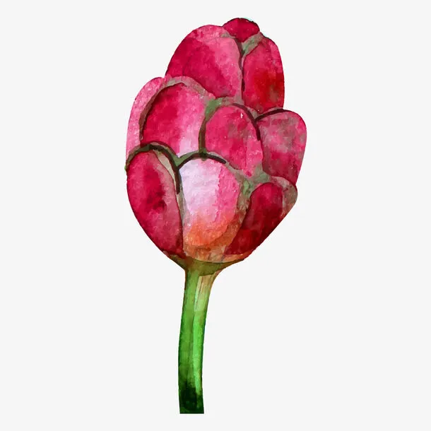 红色的花苞免抠