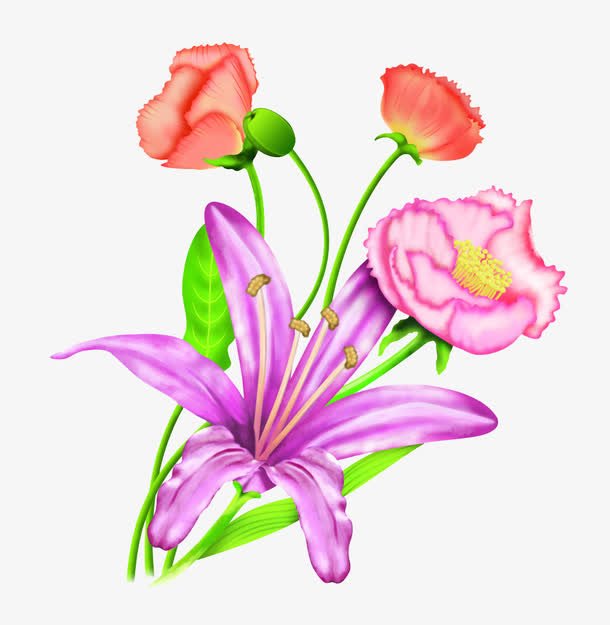 手绘百合花康乃馨花卉免抠