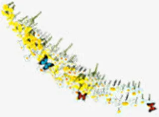 春天黄色花海装饰免抠