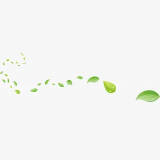 漂浮绿叶素材免抠