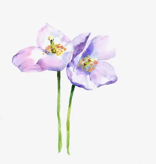 紫色靓丽水墨花朵免抠