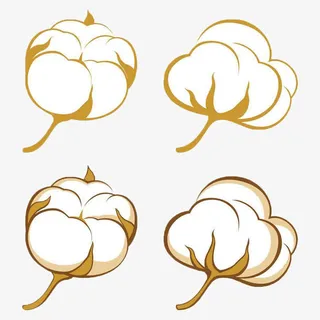 有机棉花图免抠