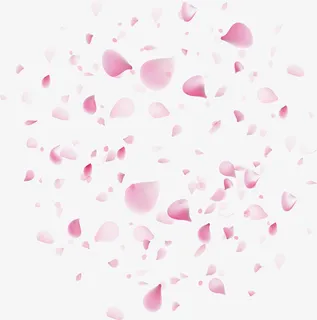 精美浪漫粉红花瓣免抠
