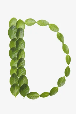 绿叶字母免抠素材免抠