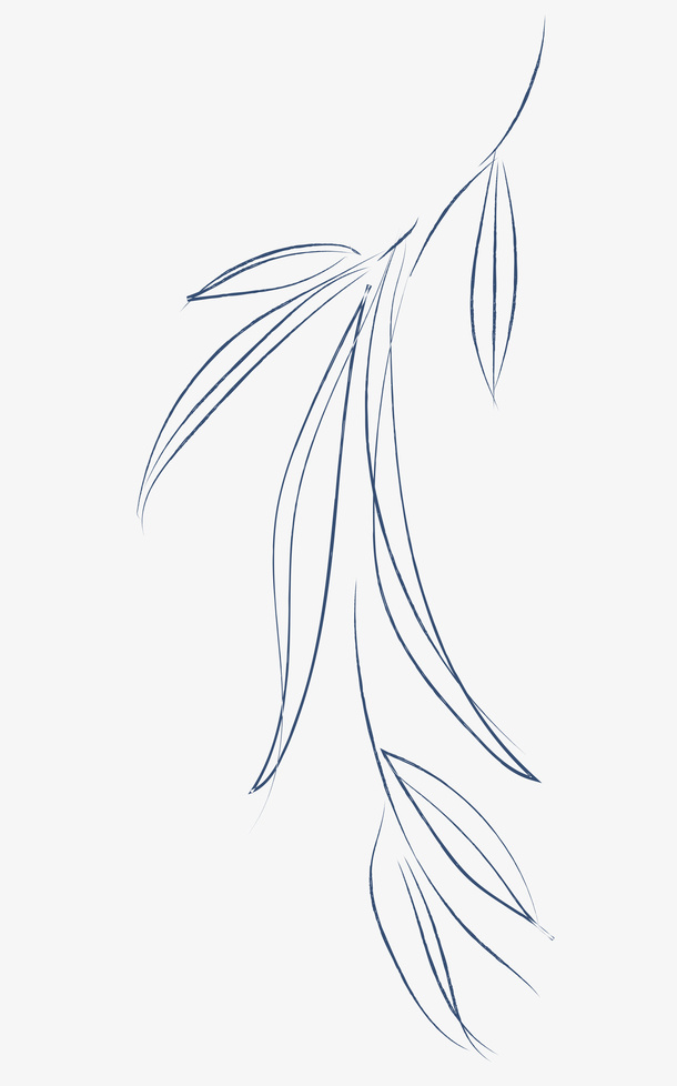 柳叶柳枝绘画图案免抠