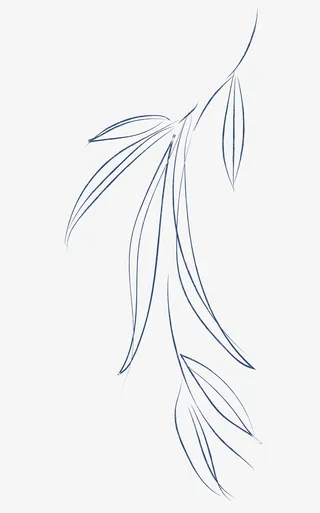 柳叶柳枝绘画图案免抠