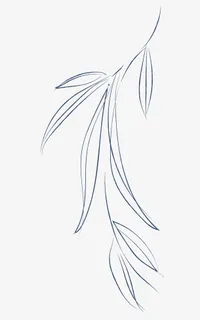 柳叶柳枝绘画图案免抠 柳叶柳枝绘画图案免抠