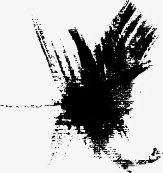 黑色斑斓花纹免抠