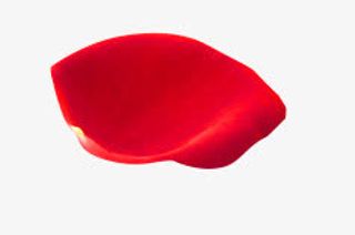 红色的玫瑰花瓣免抠