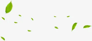 绿叶叶子漂浮装饰图片免抠