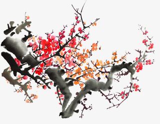 手绘梅花插画背景