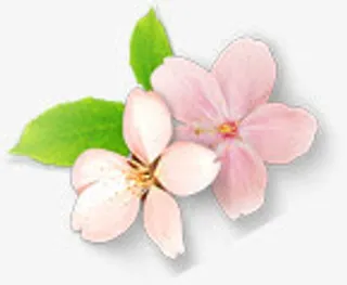 手绘粉色唯美花朵植物装饰免抠