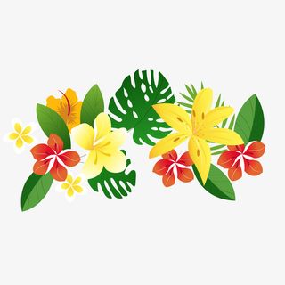 夏季热带植物花卉矢量图免抠