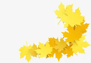 黄金枫叶装饰免扣素材免抠