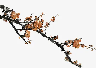 古典黄色手绘梅花免抠