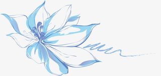 潮流手绘花朵免抠