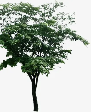 春天手绘山野大树景观免抠