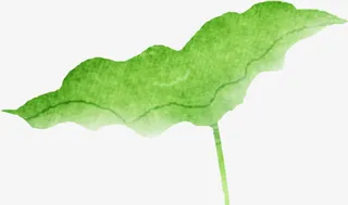 手绘绿色水彩荷叶装饰免抠
