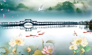 中国风莲花池上的古桥春节背景素材高清