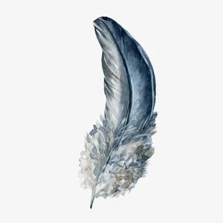 蓝色的羽毛免抠