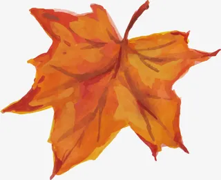 红色枫叶矢量图免抠