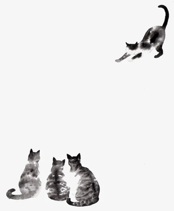 猫咪免抠