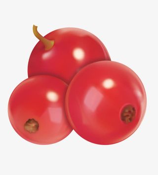 蔓越莓  山楂免抠