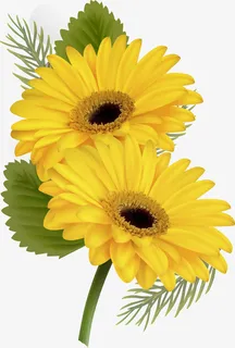 春暖花开黄色向日葵免抠
