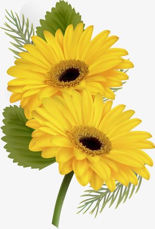 春暖花开黄色向日葵免抠