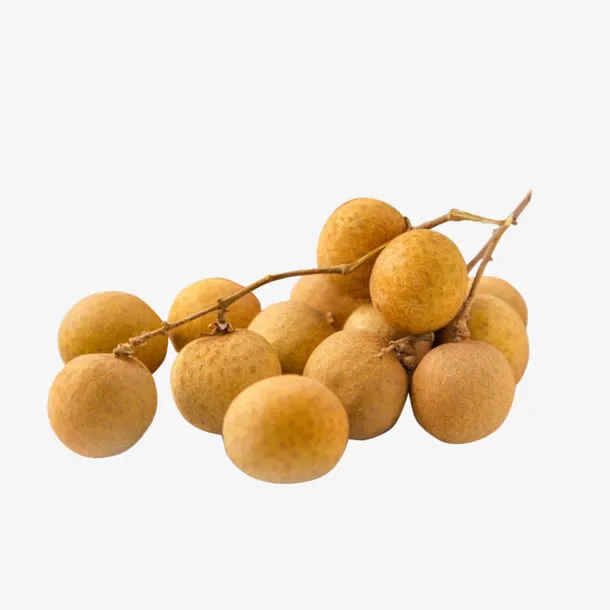桂圆实物免抠