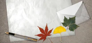 白色纸张信封枫叶红色黄色钢笔海报banner高清