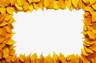 秋天落叶边框免抠