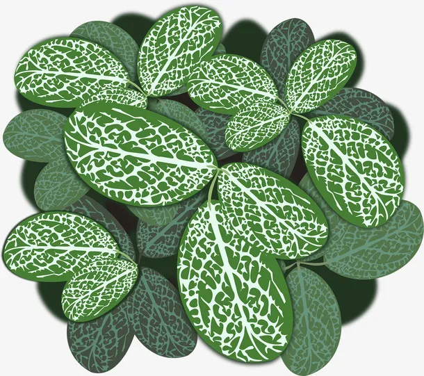 春天里旺盛生长的绿植免抠