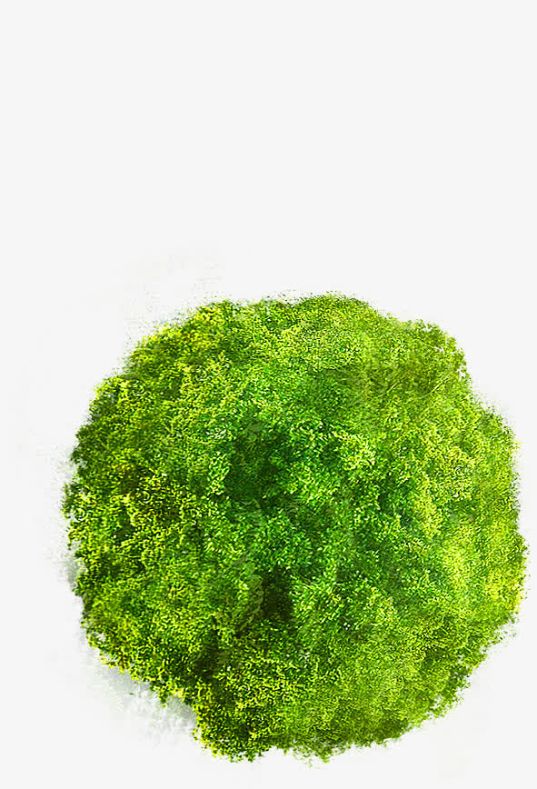 绿色卡通大树美景春天免抠
