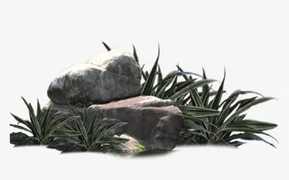 杂草石头免抠