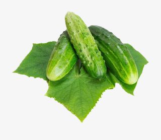 好吃简洁美食黄瓜藤免抠图免抠