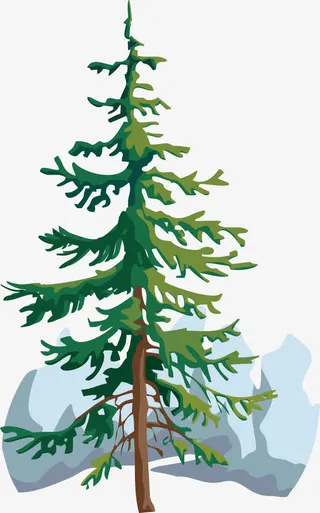 雪花松树免抠