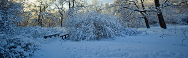 雪景冬天背景简约清新