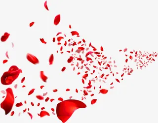 飘落的玫瑰花瓣红玫瑰免抠