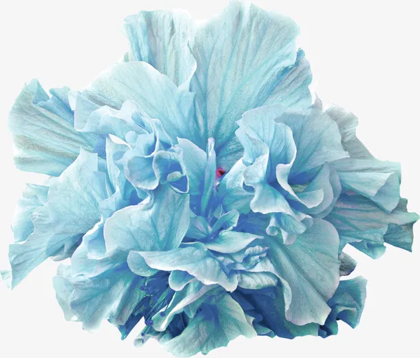 青蓝色鲜花免抠