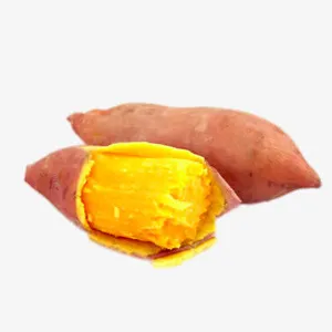 红皮红薯免抠